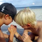 The Most Important Amicus Brief in the History of the World