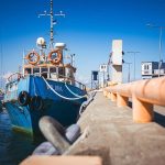 The Nature You See in Documentaries Is Beautiful and False